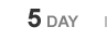 5day